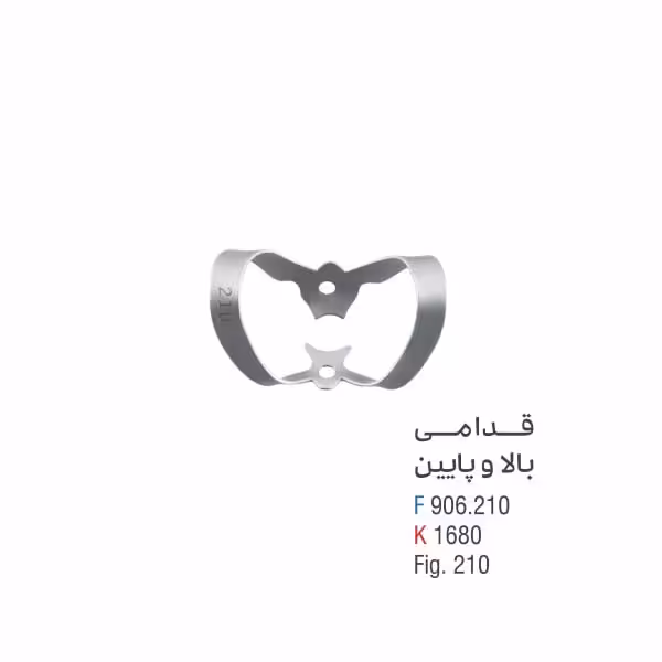 کلمپ لبیال (سانترال و کانین) - کوشا