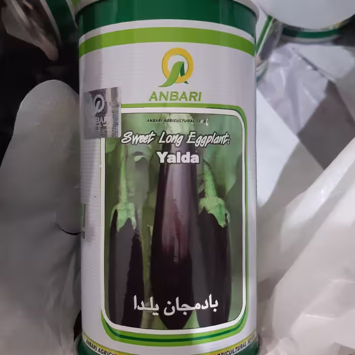 بذر بادمجان 100گرمی (5عددی)