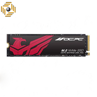 اس اس دی او سی پی سی MHP-300 M.2 2280 NVMe 256GB
