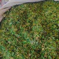 سبزی خشک آش  سبز و تازه خوش عطرو بو  در بسته های فله یک کیلویی و پنج کیلویی 