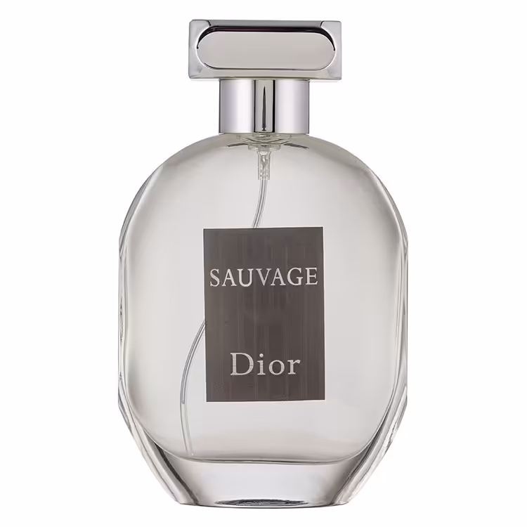 ادو پرفیوم مردانه شرکتی Hot Love Dior Sauvage حجم 100 میلی لیتر