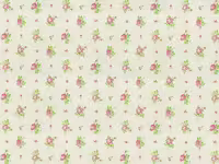 کاغذ دیواری انگلیسی اتاق کودک - هوپلا DL 30728