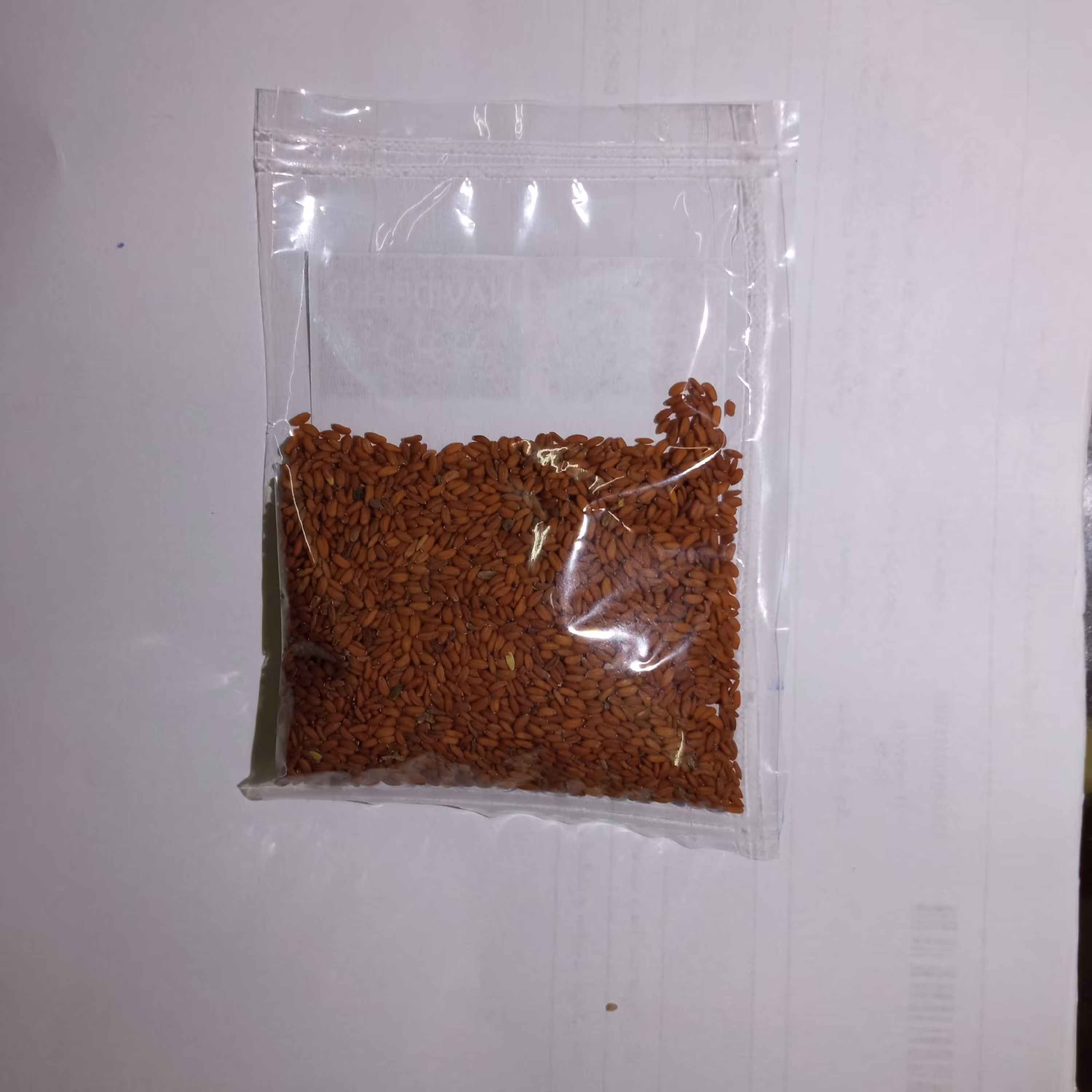 بذر شاهی برگ پهن اعلاء بسته 10 گرمی