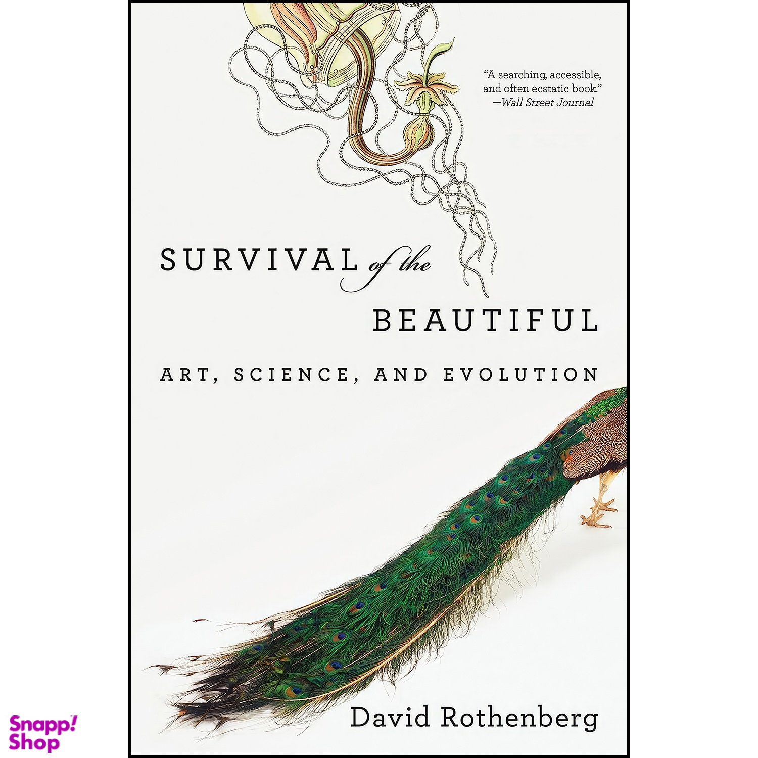 کتاب Survival of the Beautiful اثر David Rothenberg انتشارات Bloomsbury Press