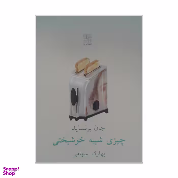 کتاب چیزی شبیه خوشبختی اثر جان برنساید انتشارات نیلا