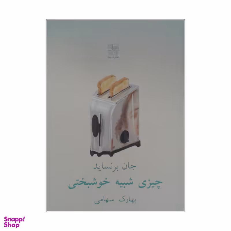 کتاب چیزی شبیه خوشبختی اثر جان برنساید انتشارات نیلا