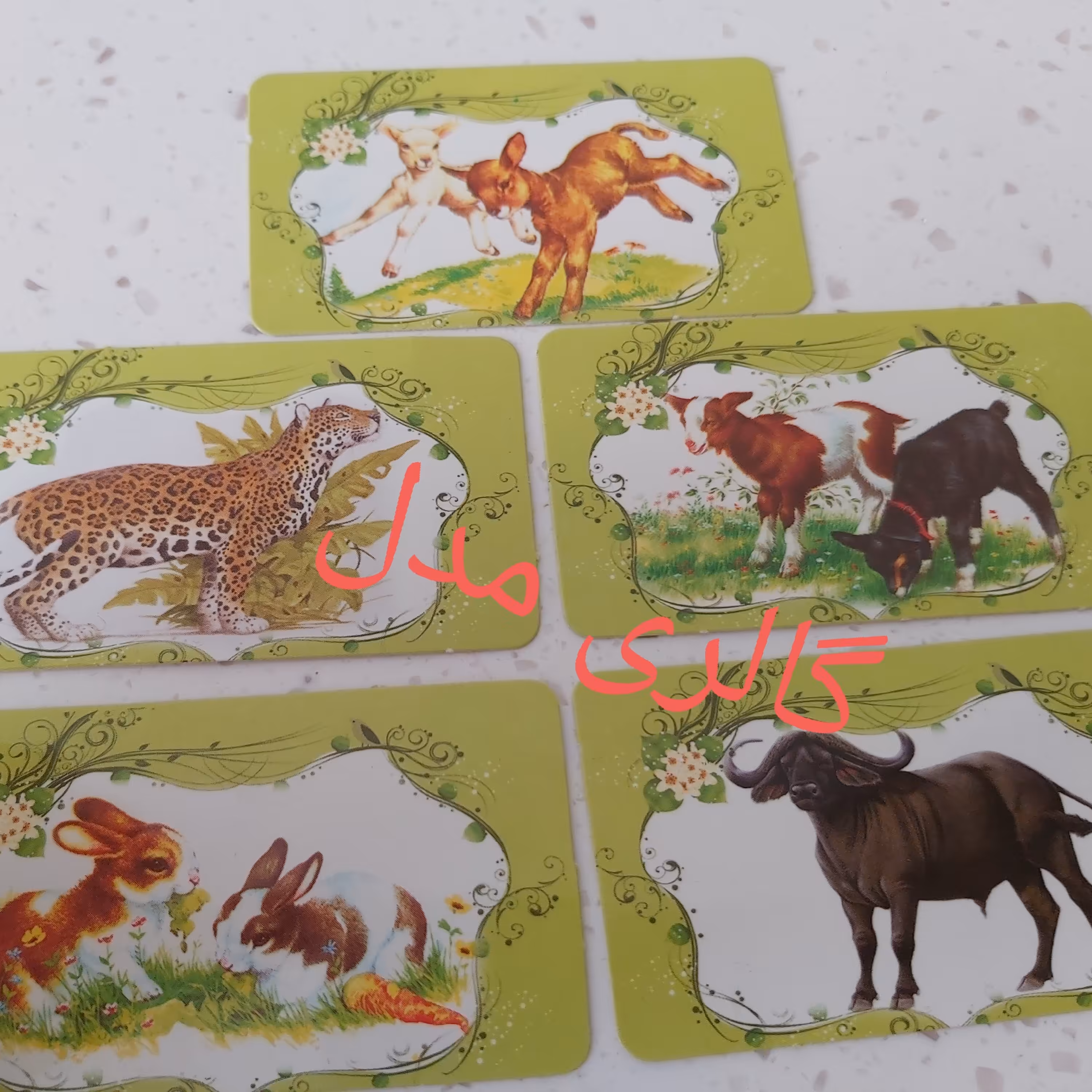 کارت آموزش نام حیوانات برای کودکان فروشگاه گالری مدل بسته 9 عددی