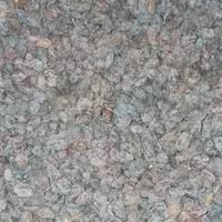 مویز نیم کیلویی