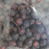 زالزالک خشک (500گرمی)