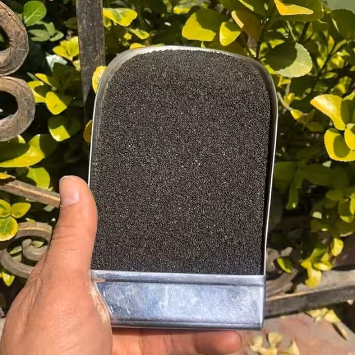 تخم شربتی سرود شده ریز در بسته بندی 500 گرمی  