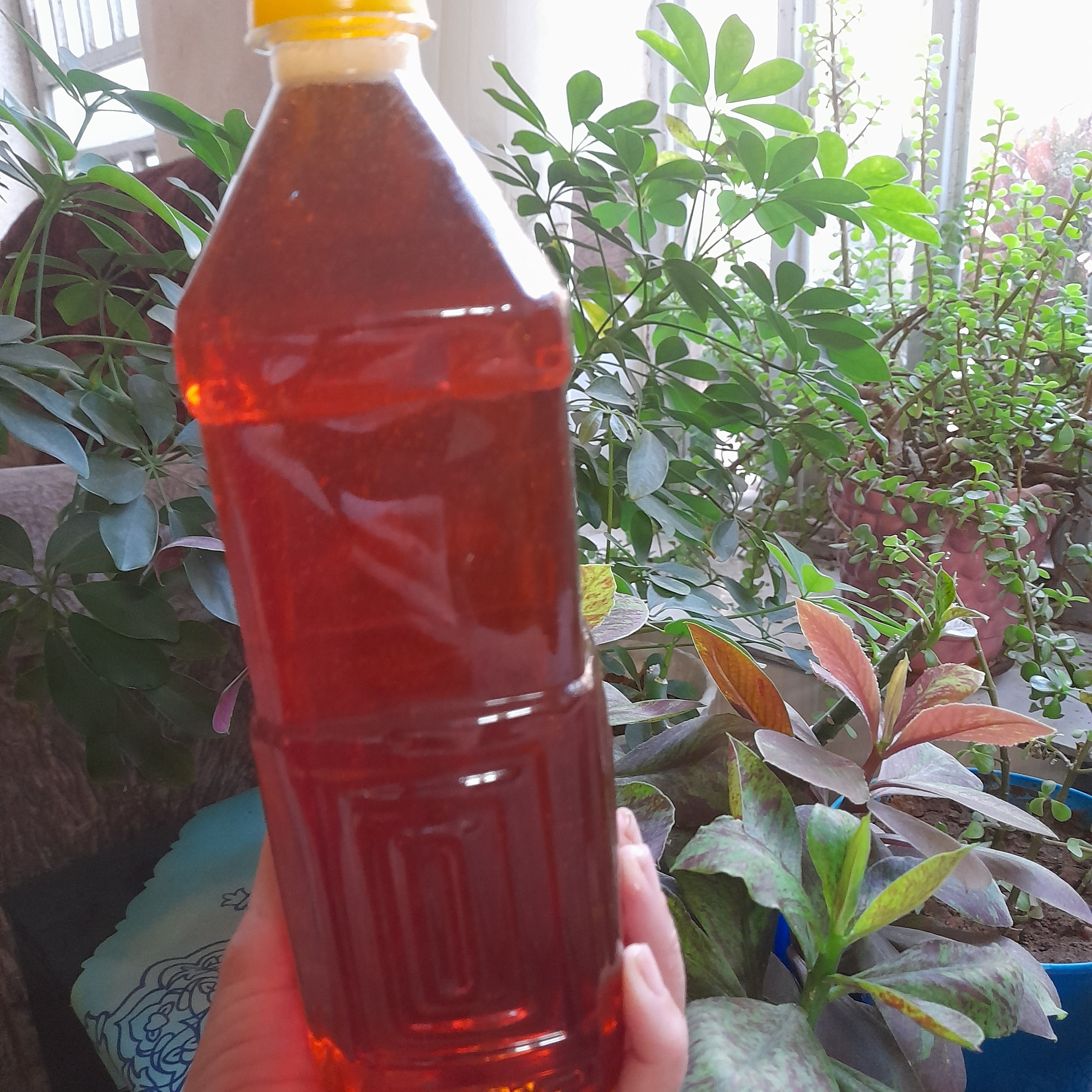 شربت نارنج خانگی ملس غلیظ .خوشمزه وخوشرنگ .تهیه شده از نارنج مرغوب شیراز وشکرشربت نارنج برای رفع گرگرفتگی عطش  