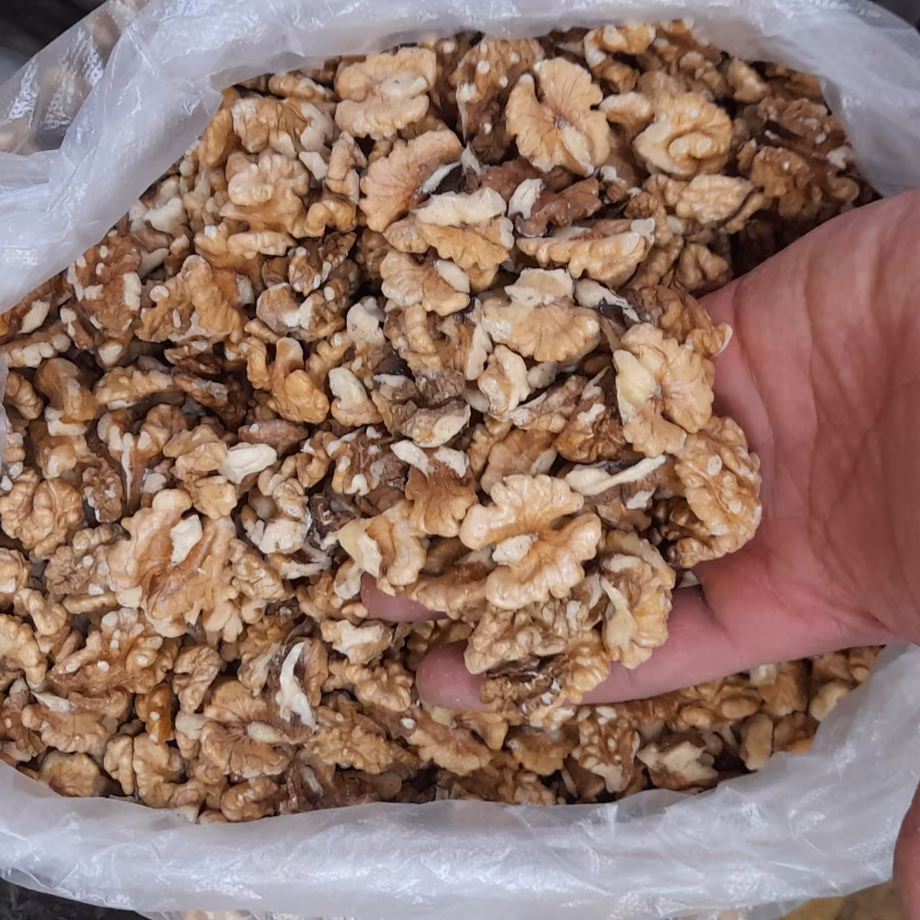 مغز گردو سفید خوانسار