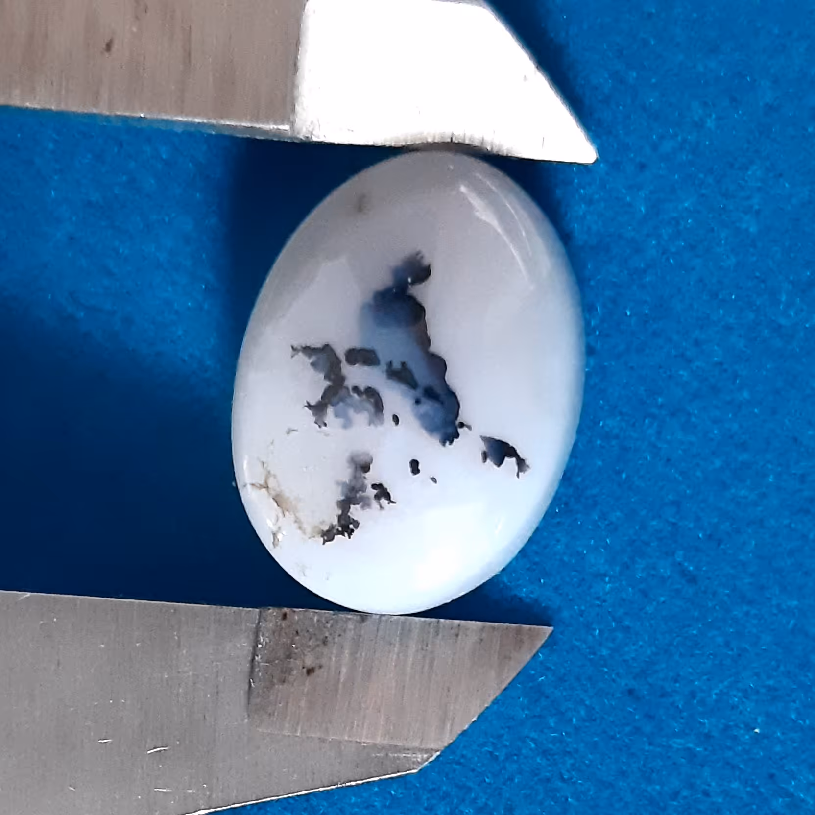  عقیق کبوترچاهی یک کبوتر نشسته ویکی در هال نشستن