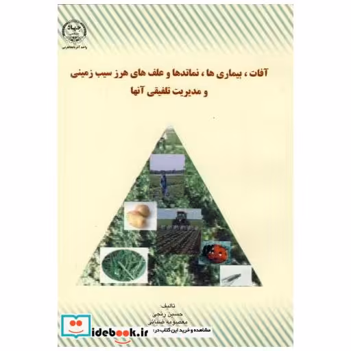 کتاب آفات اثر حسین رنجی