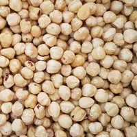 مغزفندق پوست گرفته 400گرم بدون نمک