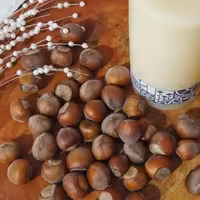  فندوق خام باپوست امساله یک کیلوگرمی