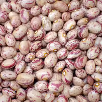 لوبیا چیتی درجه یک