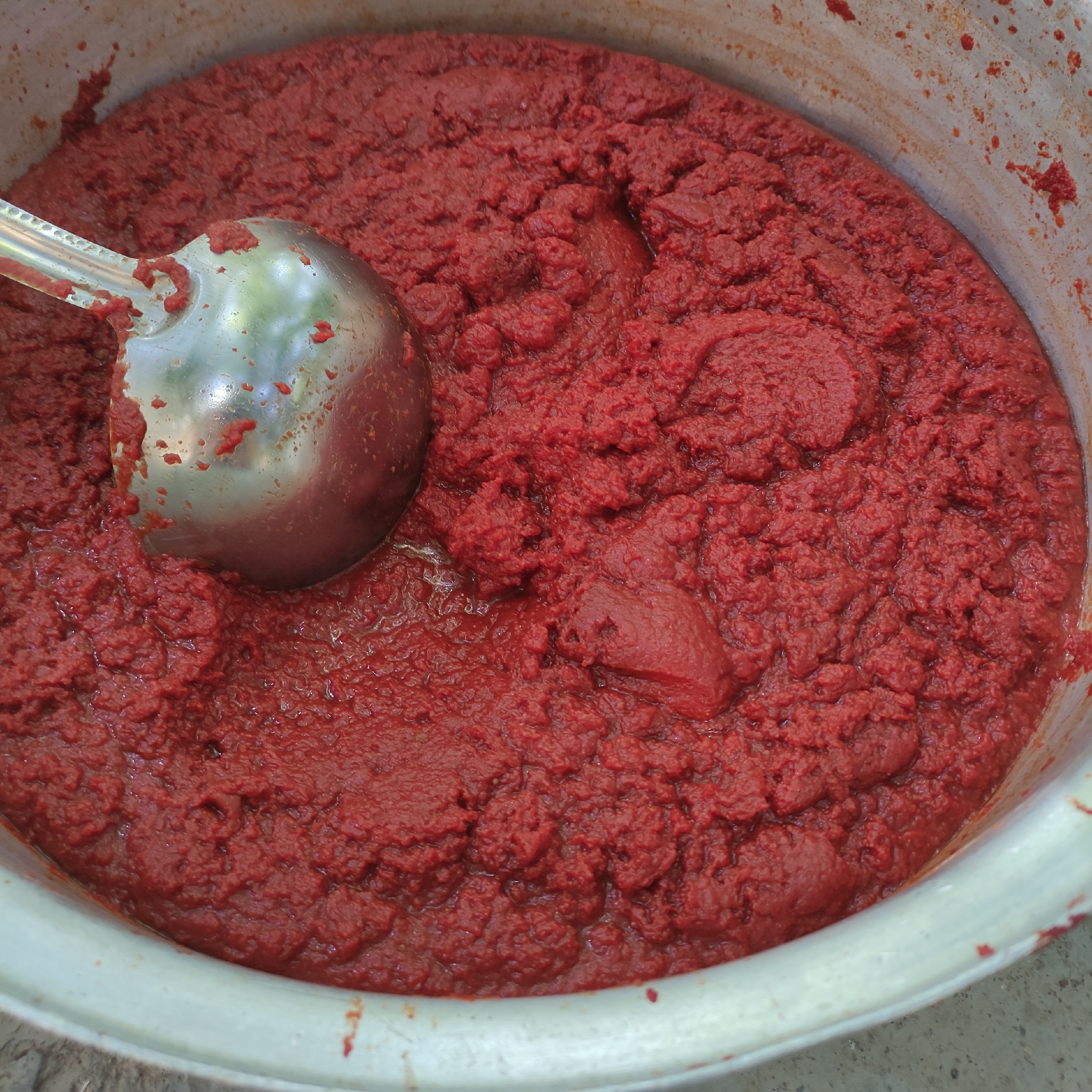 رب گوجه 