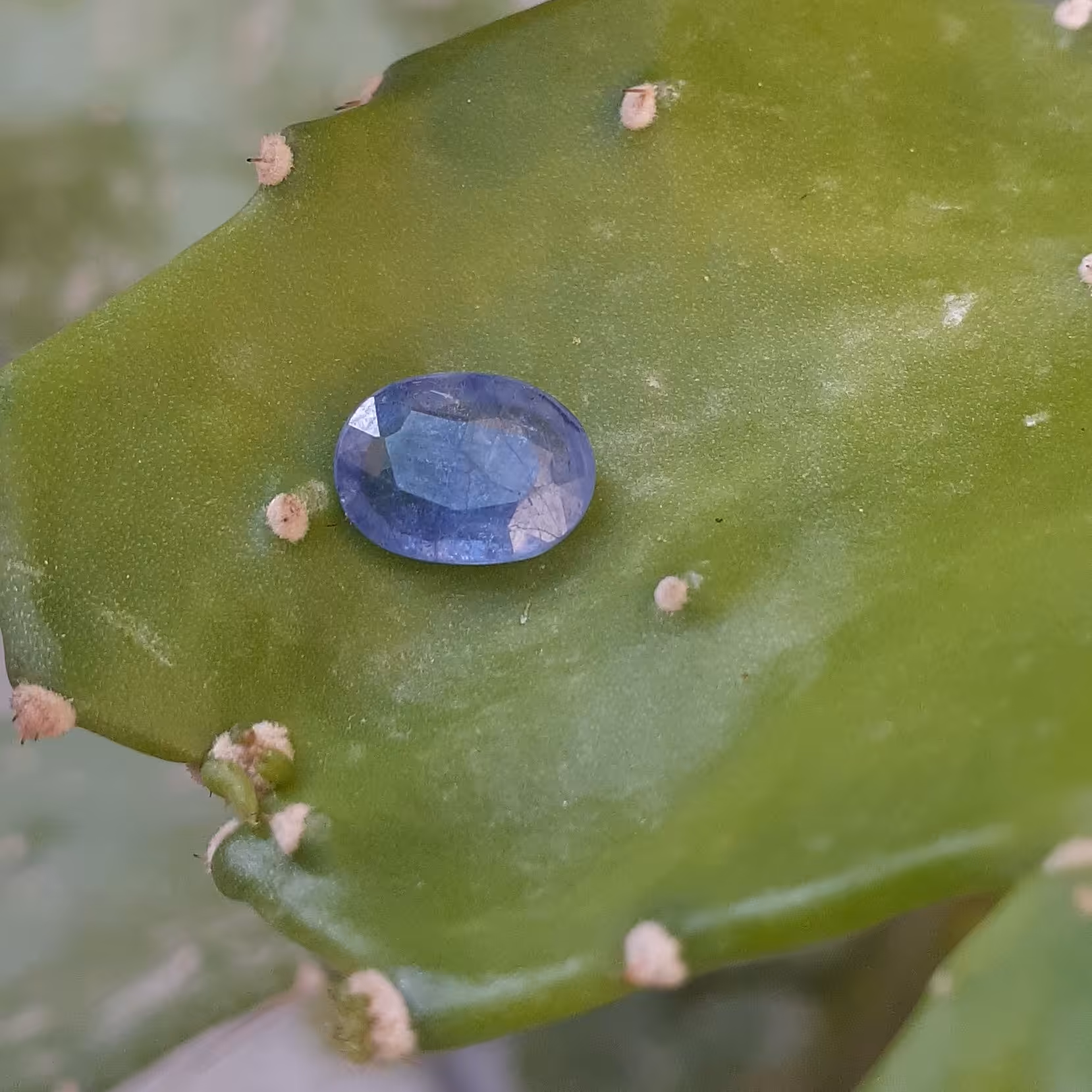 یاقوت کبود(سریلانکا)