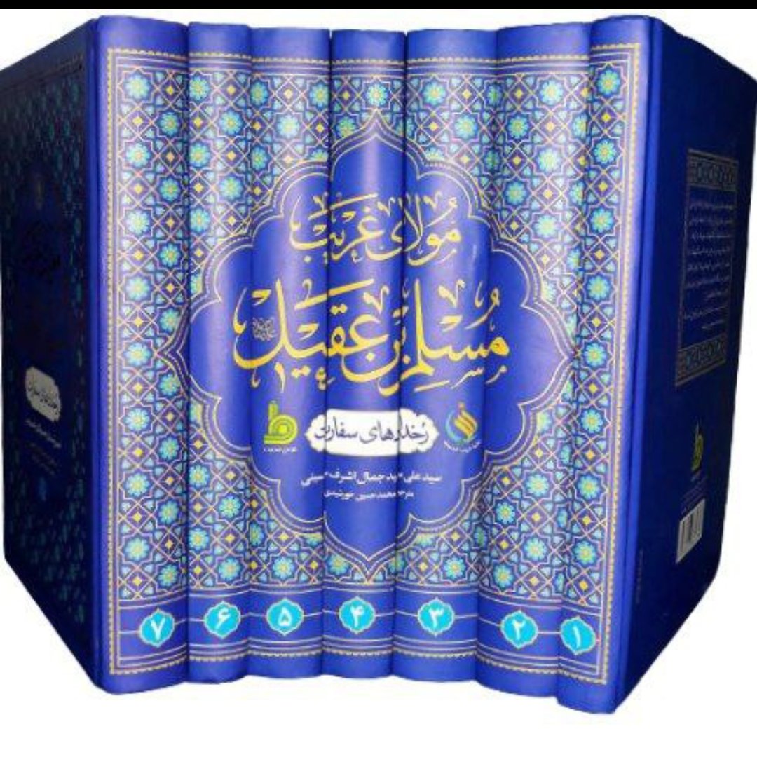 مولای غریب مسلم بن عقیل( رخدادهای سفارت)