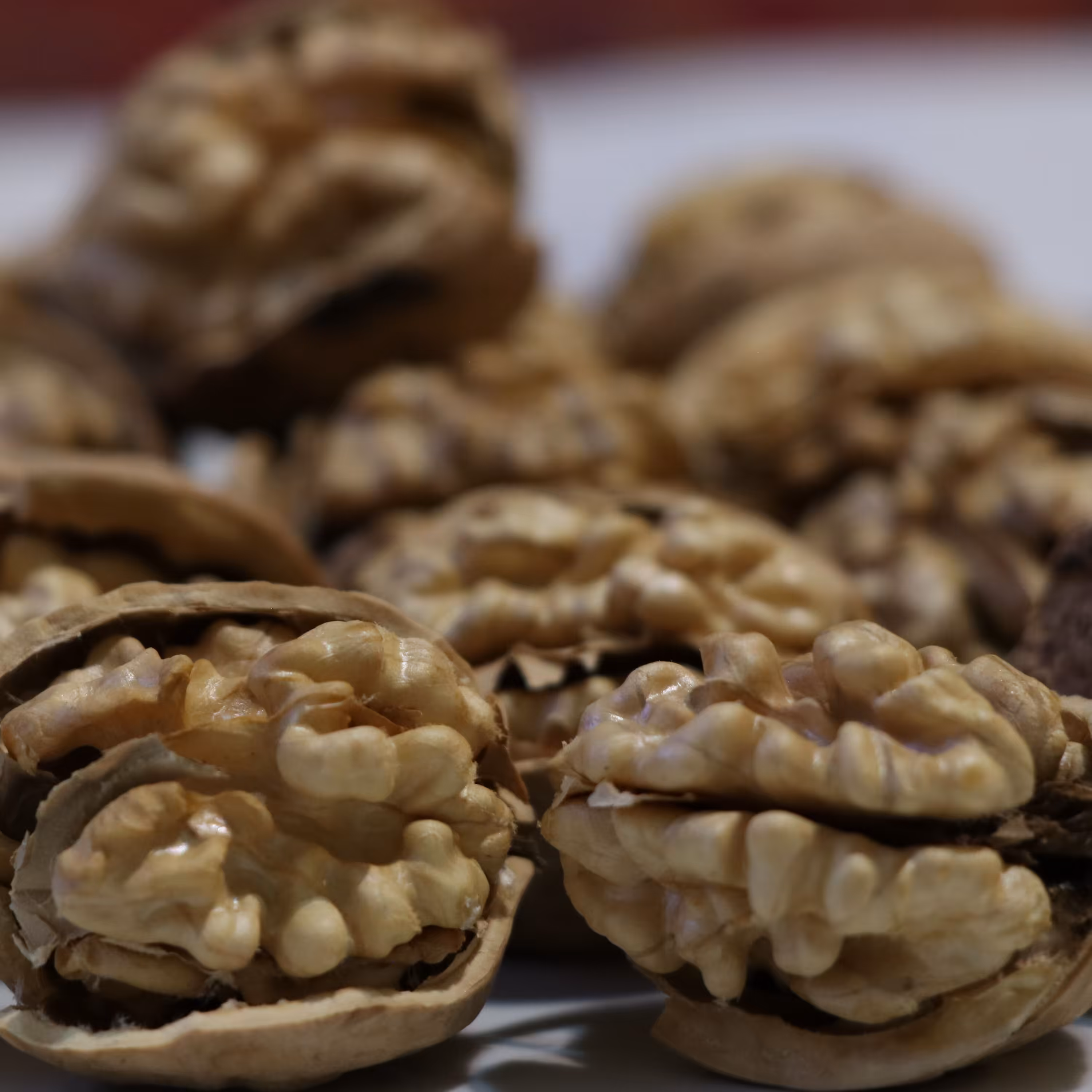 گردوی معمولی تویسرکان   10کیلوگرم