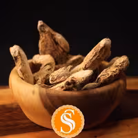 قلم زنجفیل هندی بسیار درشت با کیفیت عالی 