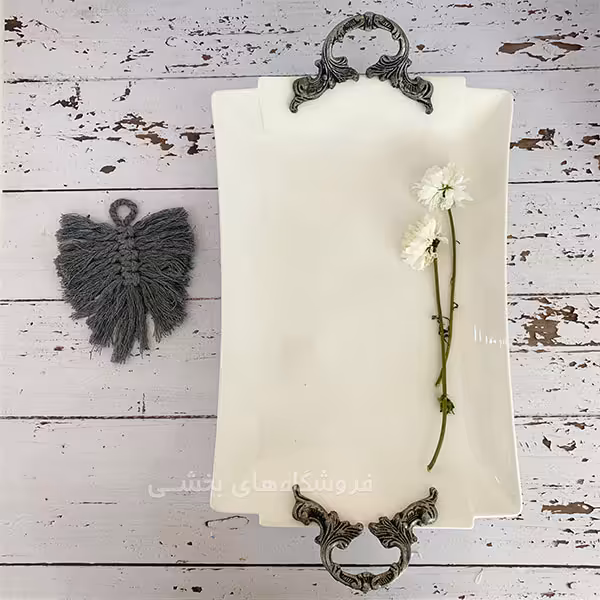 دیس دسته پیوتر بزرگ