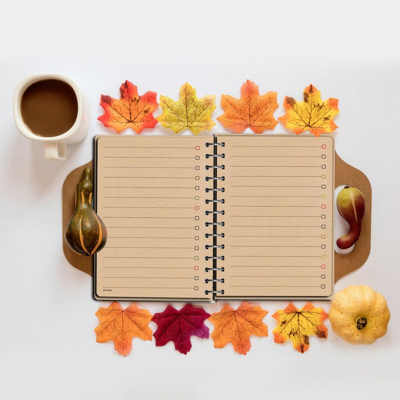 دفترچه یادداشت مستر راد مدل to do list طرح کرافت کد fiory 1901