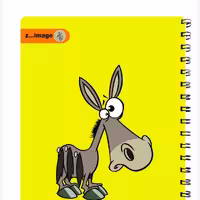 دفتر نقاشی 50 برگ زیماژ کد 23234
Zimage