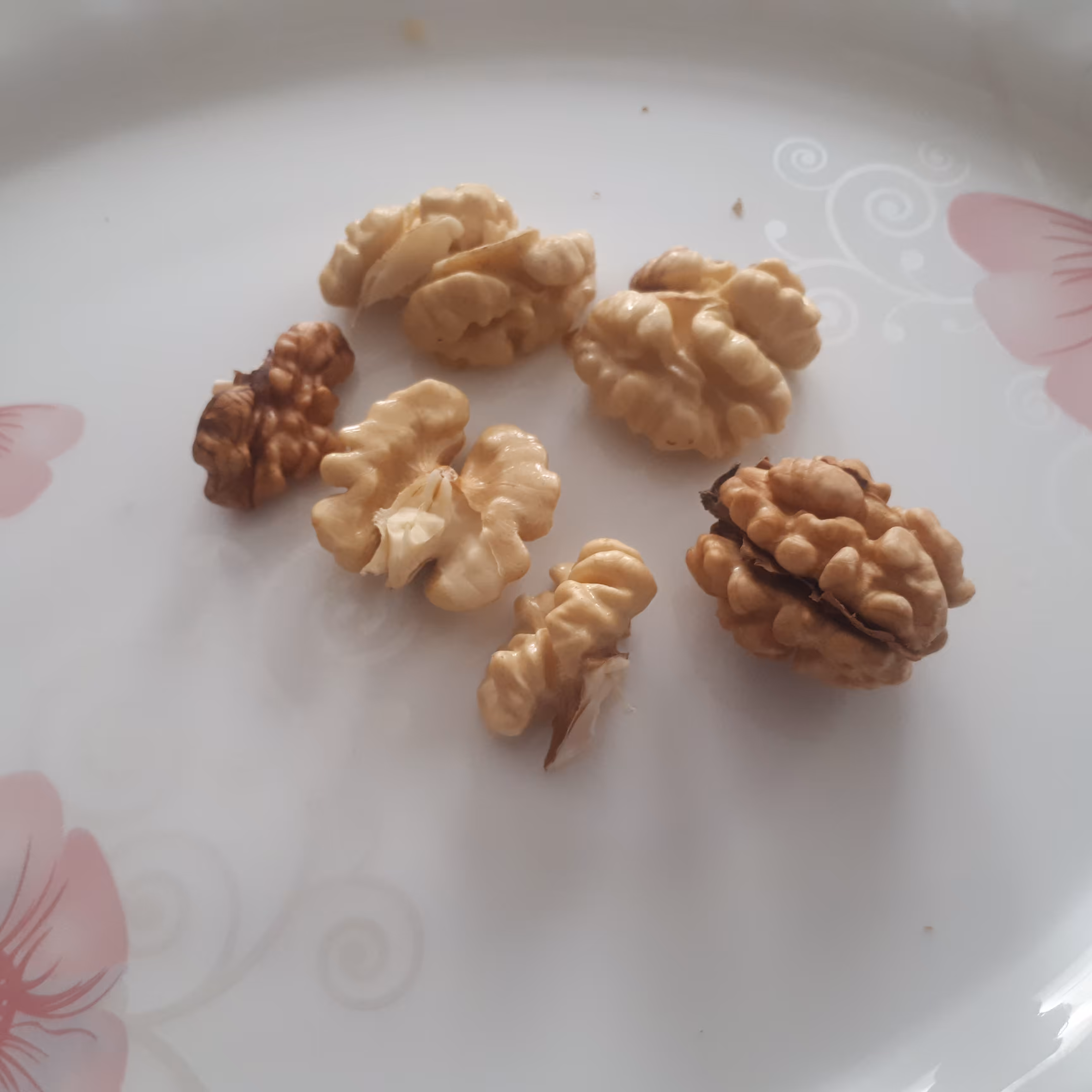 مغز گردوی تازه