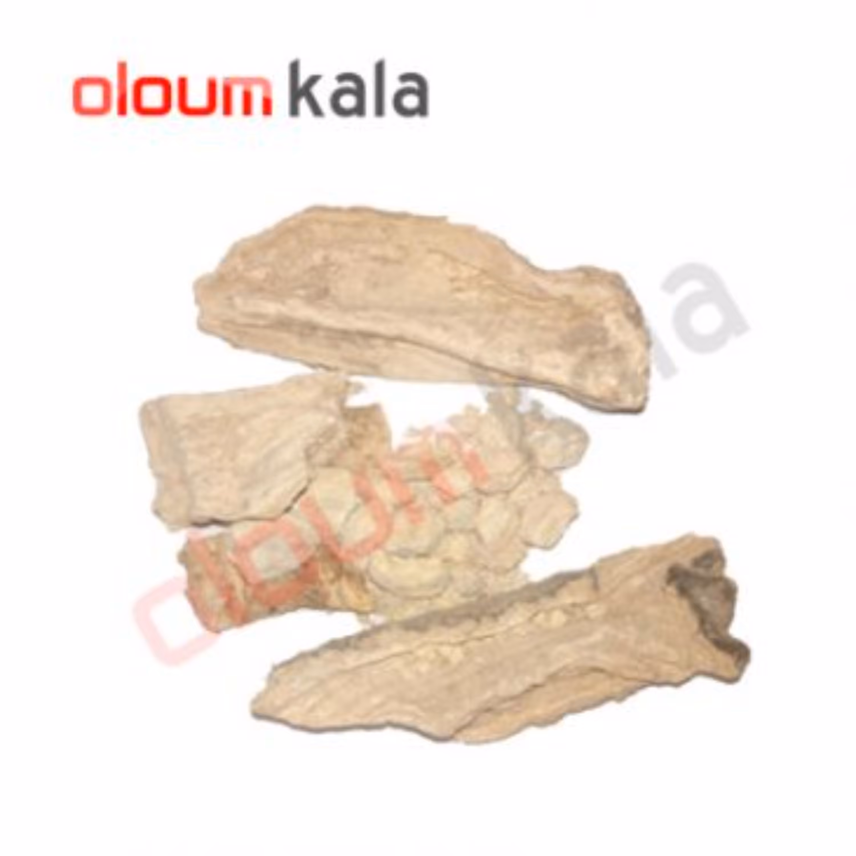 قسط هندی یا کوشنه هندی یا قسط شیرین و تلخ اصل(100گرمی)