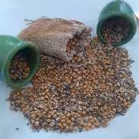گندم برشته(گندم شاه دونه سنتی)(750گرم)