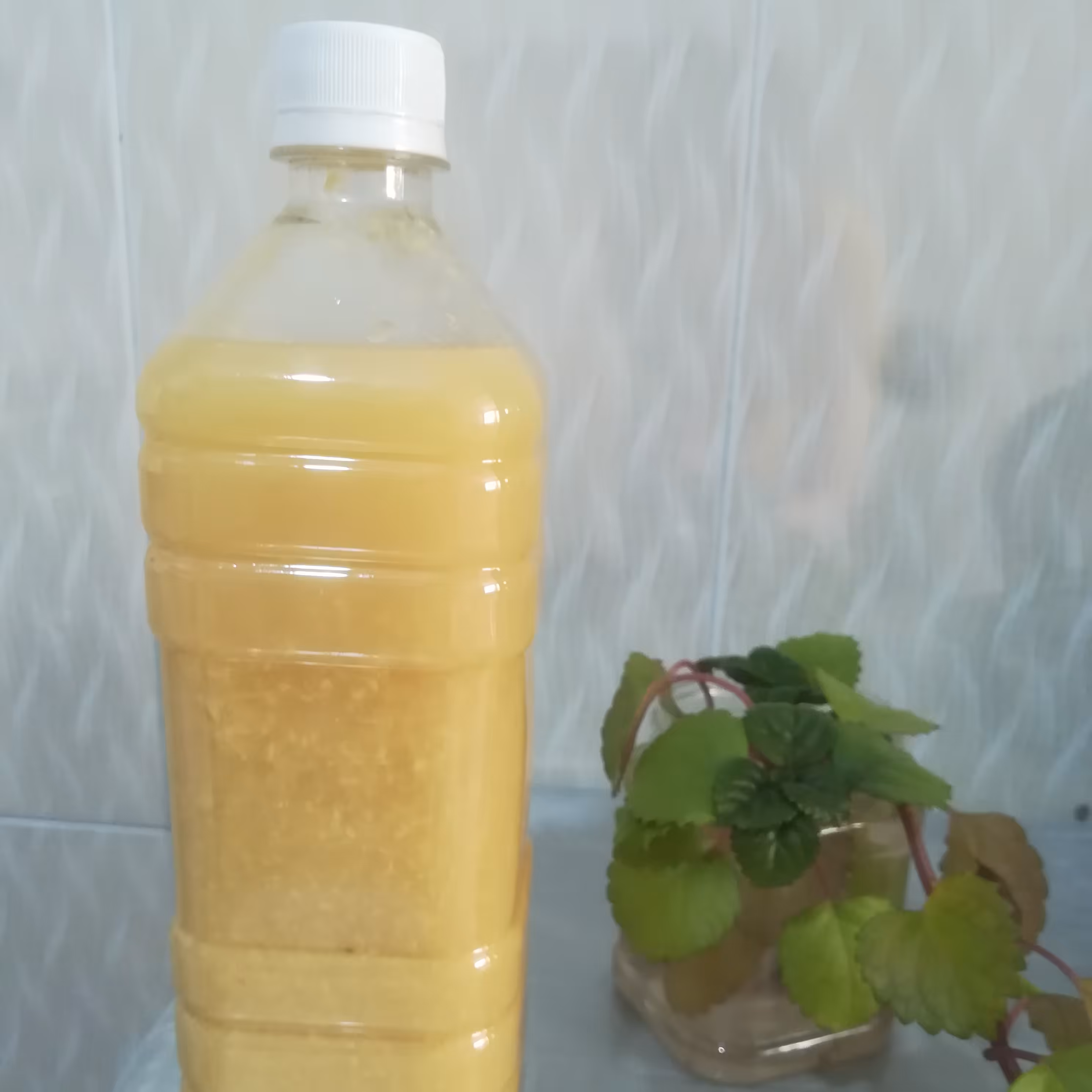 آبلیموی تازه طبیعی و صد در صد خالص و بدون موادافزودنی 