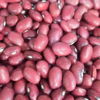 لوبیا قرمز کشت تازه و زودپز