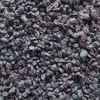 مویز سیاه تازه