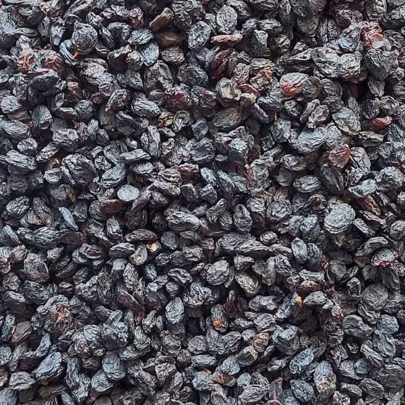 مویز سیاه تازه