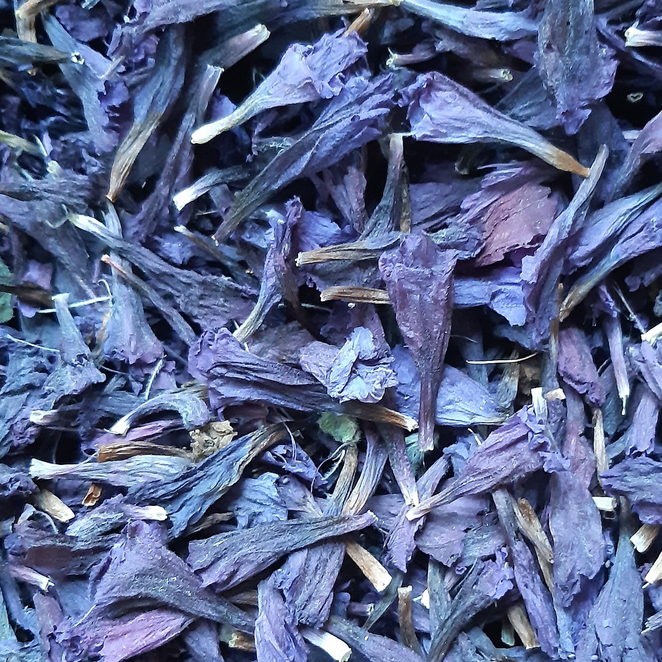 گل گاوزبان شمالی اعلا 500گرمی