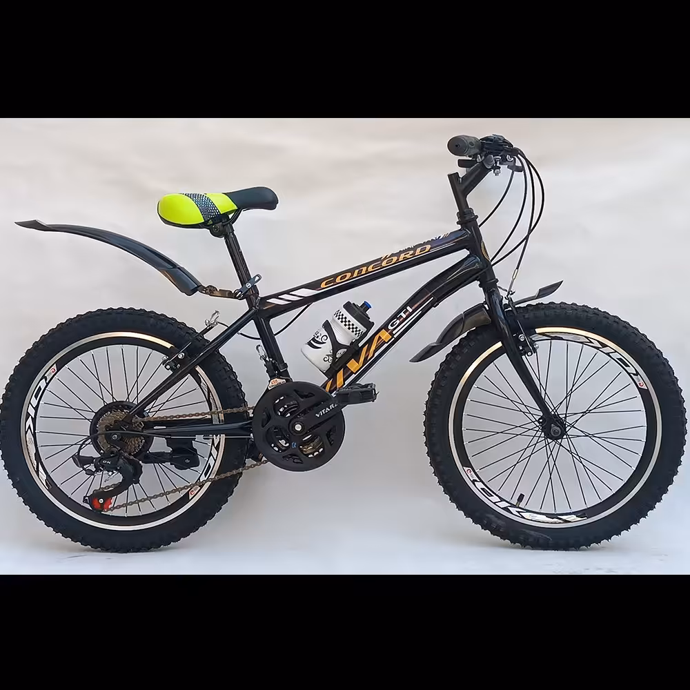 دوچرخه 20 دنده ای  مشکی طوقه مثلثی خارجی.  دوچرخه 20