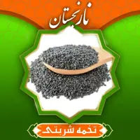 تخم شربتی دانه ریز (100گرمی)نارنجستان