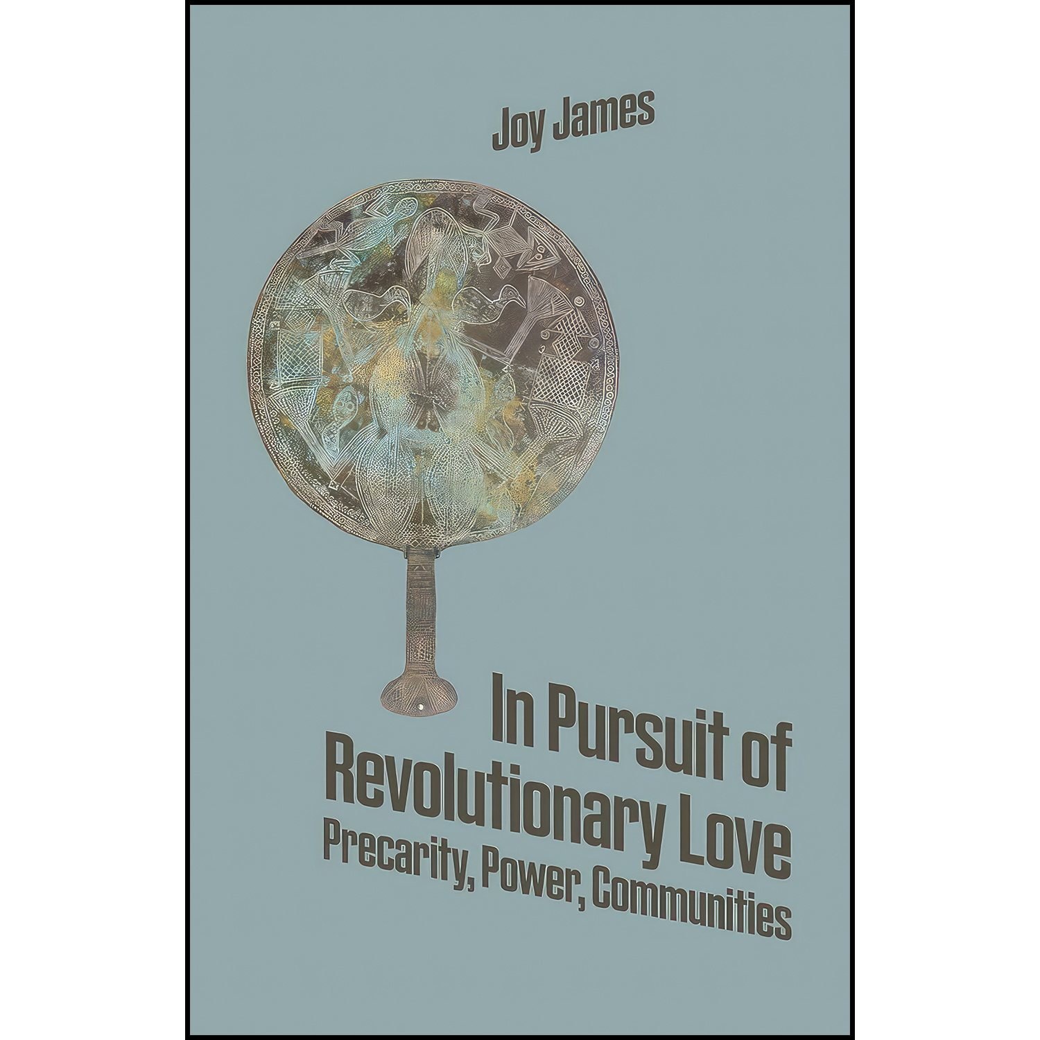 کتاب زبان اصلی In Pursuit of Revolutionary Love اثر Joy James