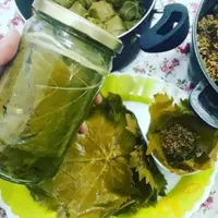 کنسرو برگ مو خانگی گیلان.رشت