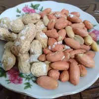 بادام زمینی آستانه   