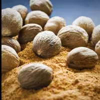 پودر  ریشه  جوز هندی درجه1 (100 گرم ) کارون