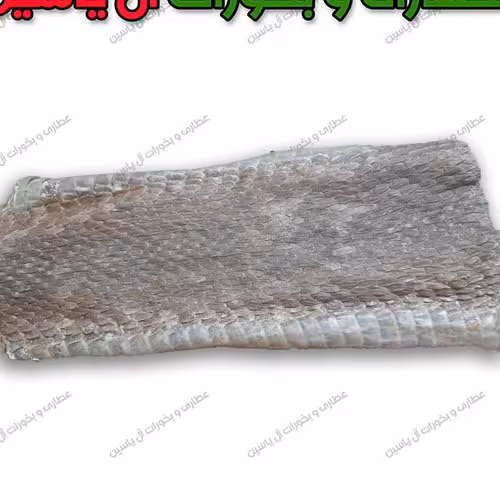 پوست اول مار(تکه ای )