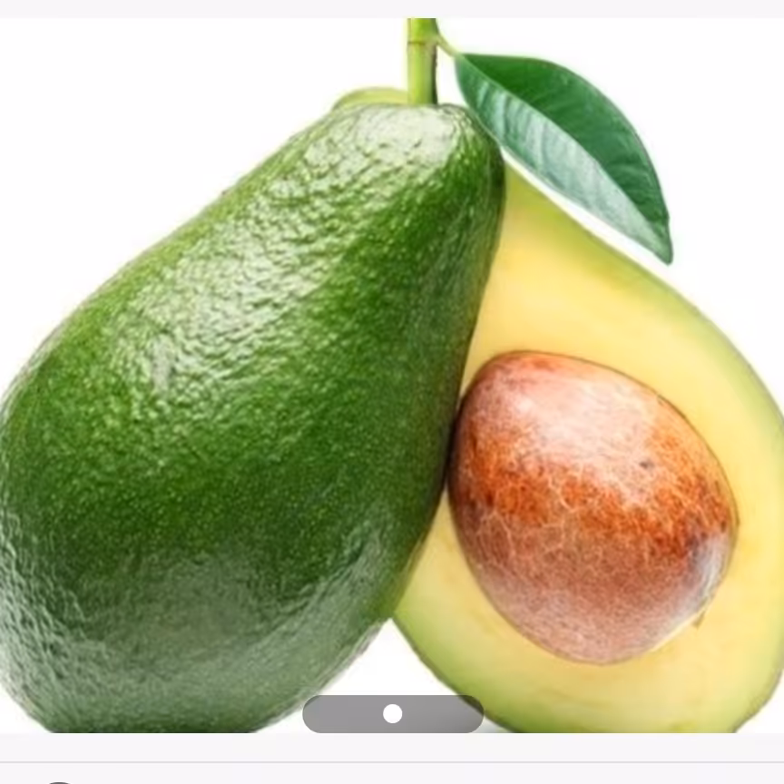 نهال آووکادو

