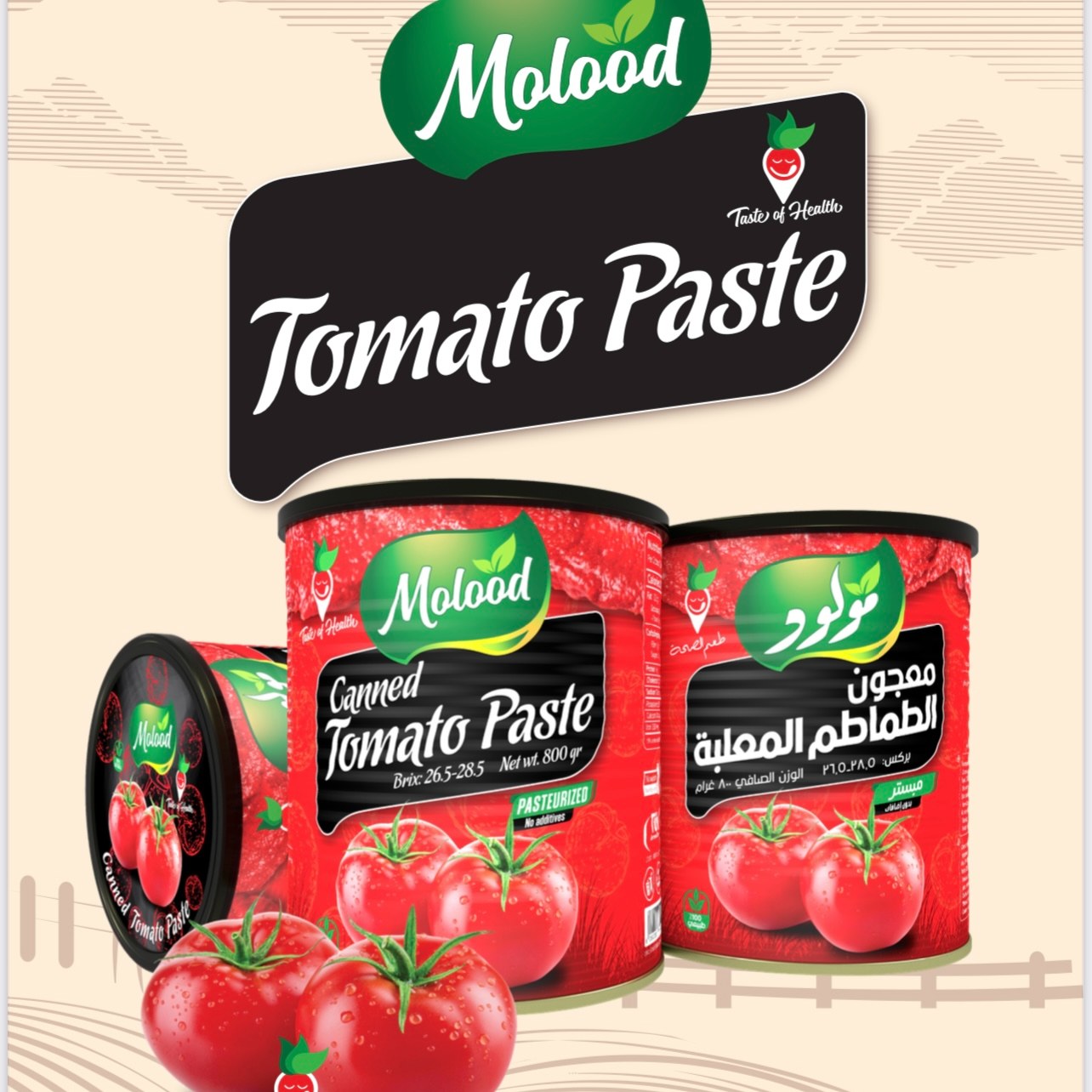 رب گوجه قوطی 400 گرمی مولود 