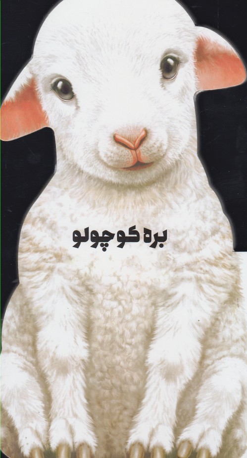 کتاب داستان زندگی بره کوچولو اثر جیووانی کاویزل