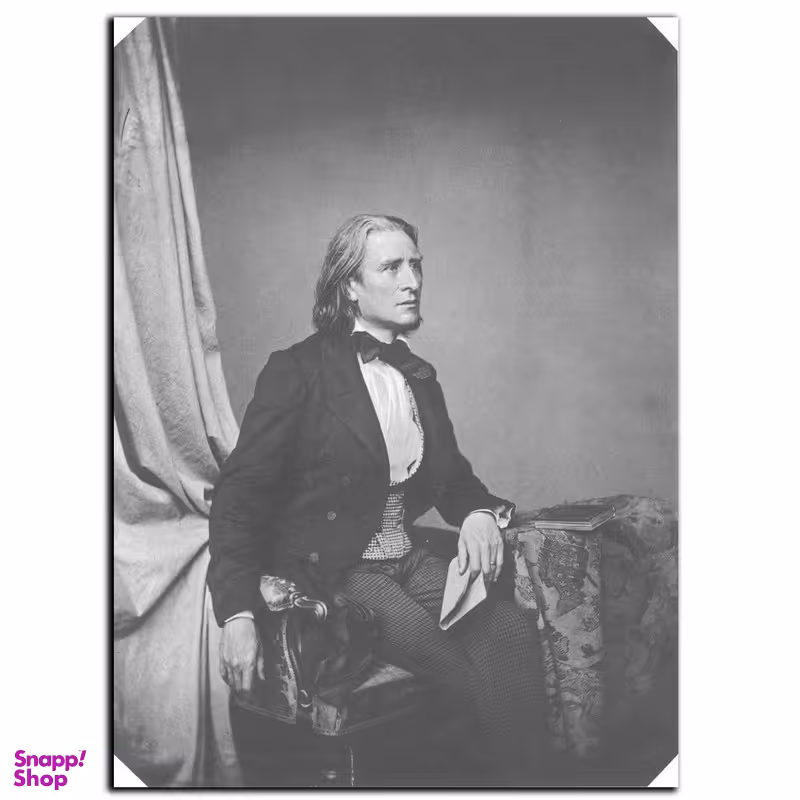 تابلو شاسی بکلیت طرح مشاهیر موسیقی فرانتس لیست مدل SH-6029