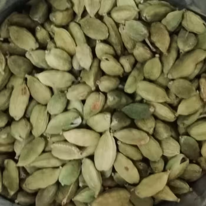 هل سبز و درشت و معطر  آل عبا