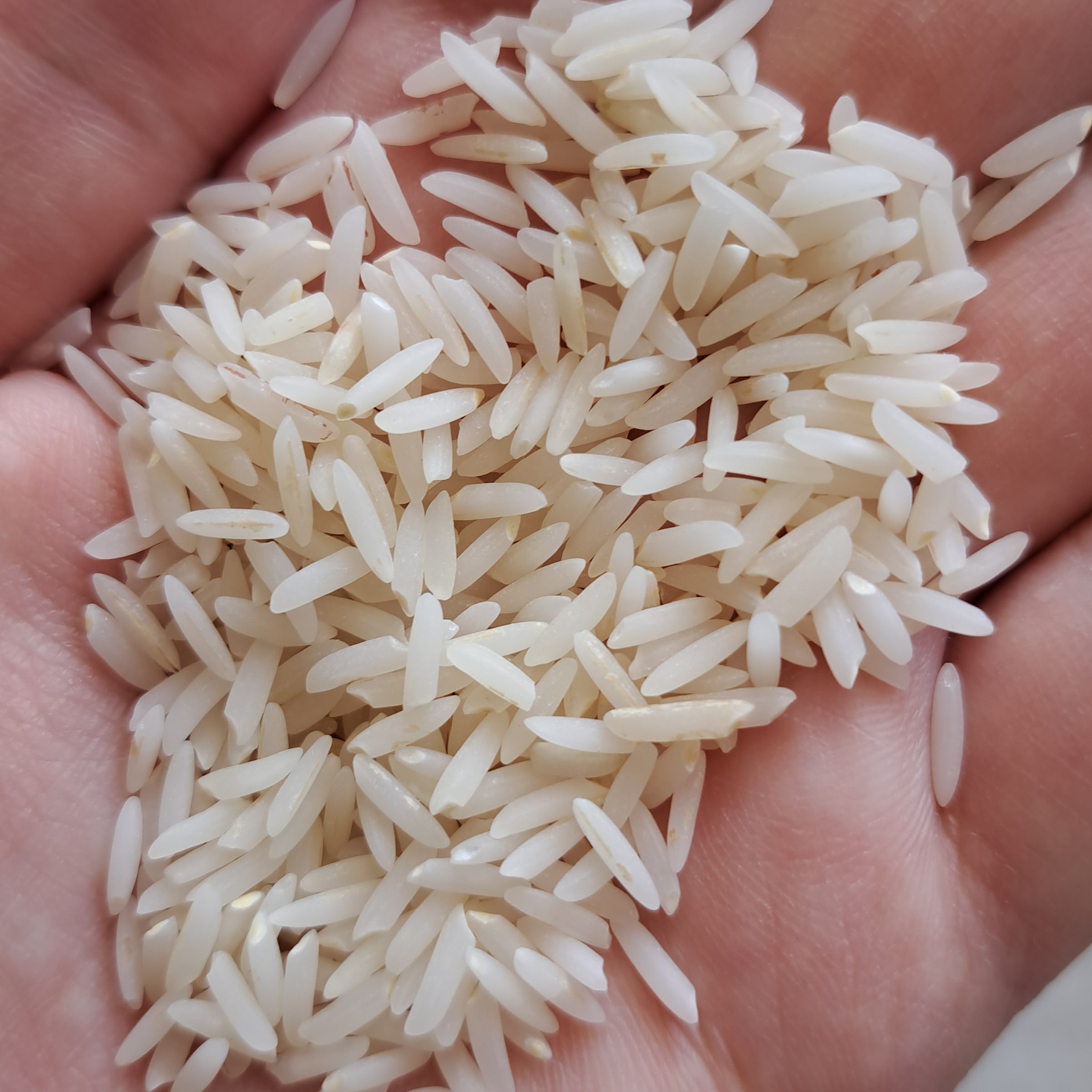برنج طارم هاشمی 5 کیلویی